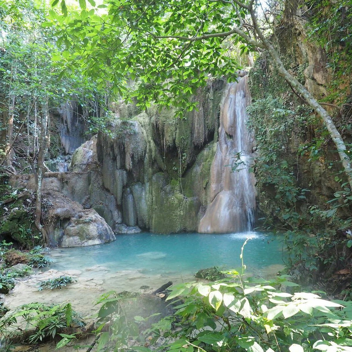 Sticky Waterfall